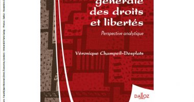 Théorie générale des droits et libertés. Perspective analytique